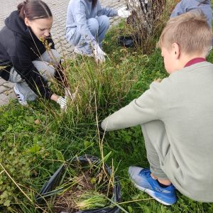 Lielā talka Vilces skolā