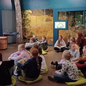 STEM nodarbībā “Sēņu valsts daudzveidība”